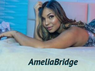 AmeliaBridge