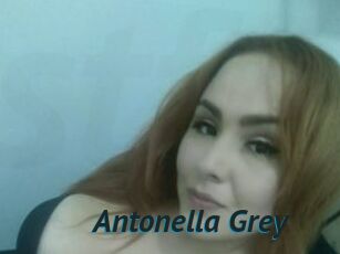 Antonella_Grey