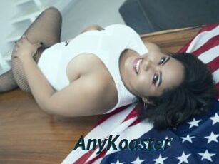 AnyKoaster
