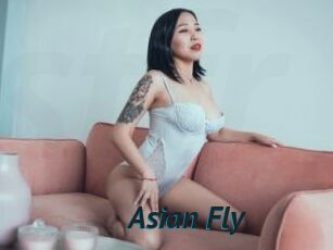 Asian_Fly