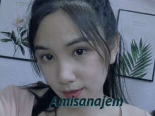 Amisanajem