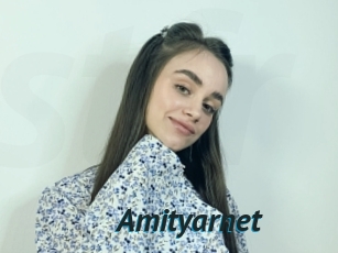 Amityarnet