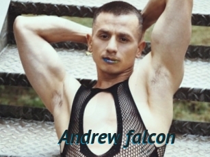 Andrew_falcon