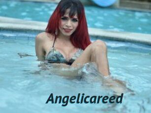 Angelicareed