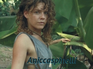 Aniccaspinelli