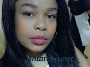 Antarabrunet