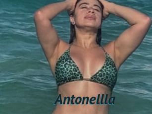 Antonellla