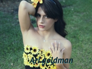 Ari_goldman