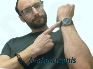 Avalonadonis
