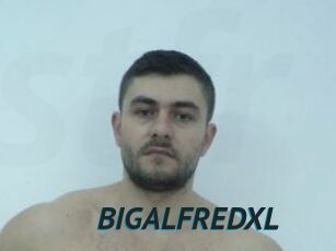 BIGALFREDXL