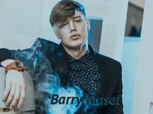 Barry_Masel