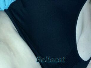 Bella_cat