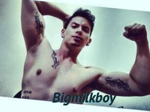 Bigmilkboy