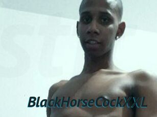 BlackHorseCockXXL