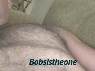 Bobsistheone