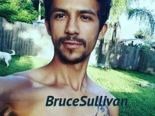 Bruce_Sullivan