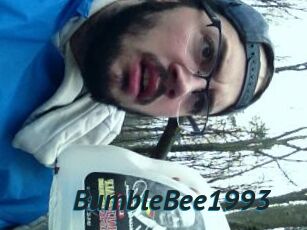 BumbleBee1993