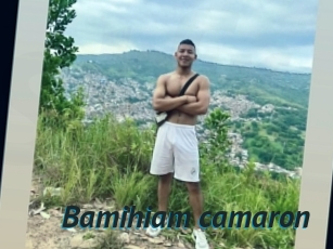 Bamihiam_camaron