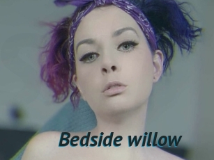 Bedside_willow