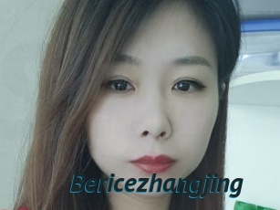 Bericezhangjing
