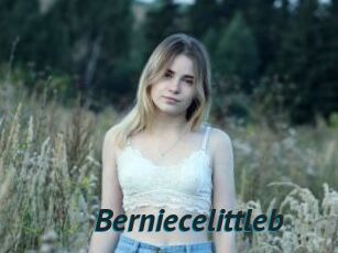Berniecelittleb
