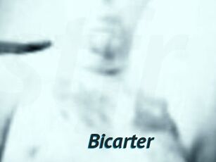 Bicarter