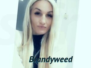Brandyweed