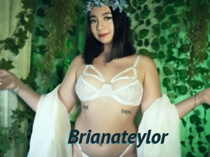 Brianateylor