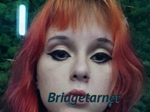 Bridgetarnet