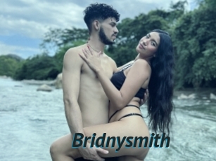 Bridnysmith