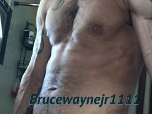Brucewaynejr1111