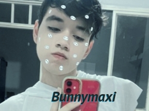 Bunnymaxi