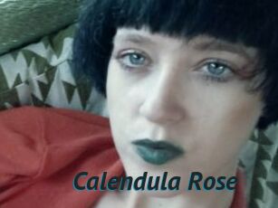 Calendula_Rose