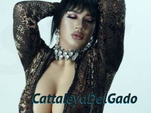 CattaleyaDelGado