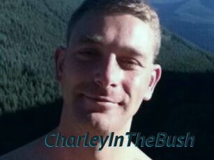 CharleyInTheBush