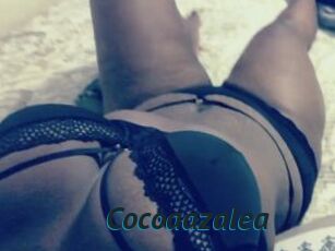 Cocoaazalea