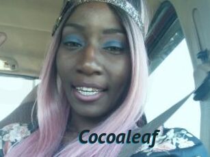 Cocoaleaf
