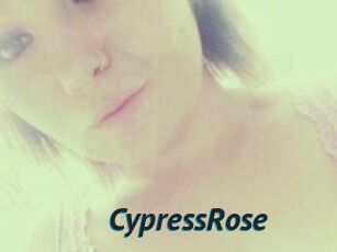 Cypress_Rose