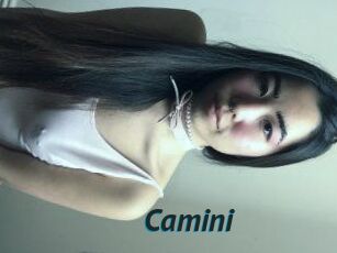 Camini