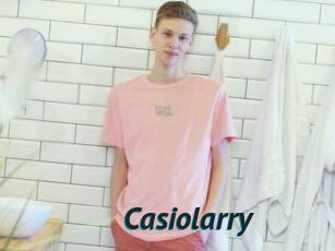 Casiolarry