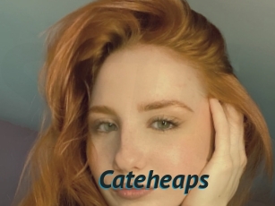 Cateheaps