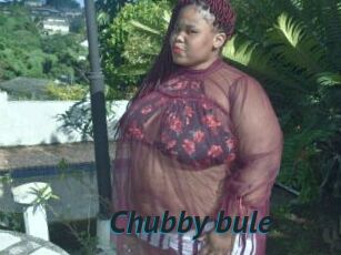 Chubby_bule