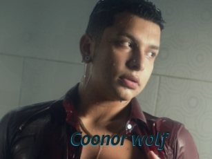 Coonor_wolf