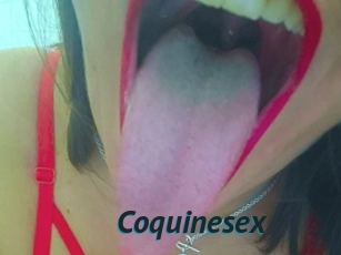 coquinesex Sexe Tube FR