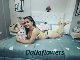 Daliaflowers