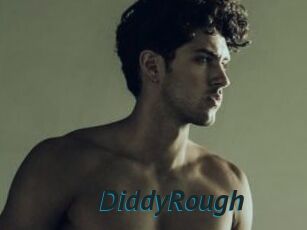DiddyRough