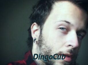 DingoCub