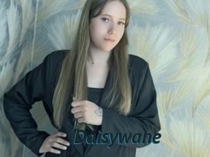 Daisywane