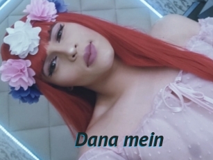 Dana_mein