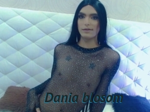 Dania_blosom